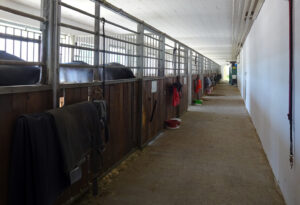 Stallungen